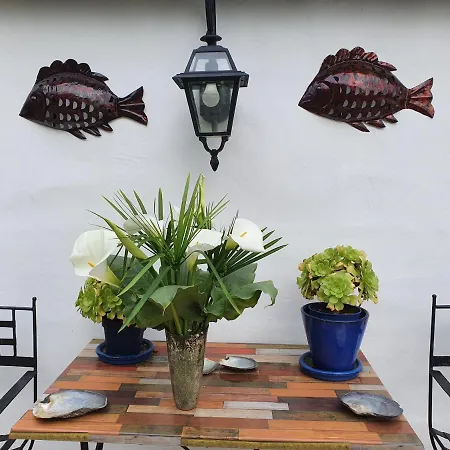 Domaine De Millox Couette-café Saint-André-de-Seignaux