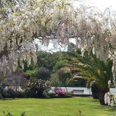 Domaine De Millox Bed & Breakfast Saint-Andre-de-Seignanx