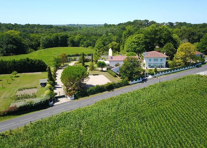 Domaine De Millox Saint-André-de-Seignaux