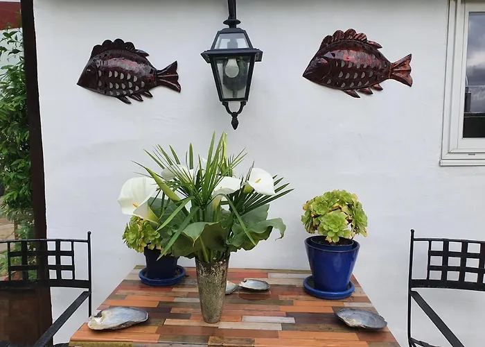 Domaine De Millox Oda ve Kahvaltı Saint-André-de-Seignaux