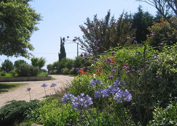 米尔洛克斯葡萄园住宿加早餐旅馆 4*