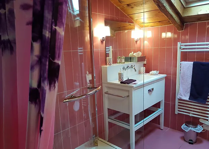 Oda ve Kahvaltı Domaine De Millox Saint-André-de-Seignaux